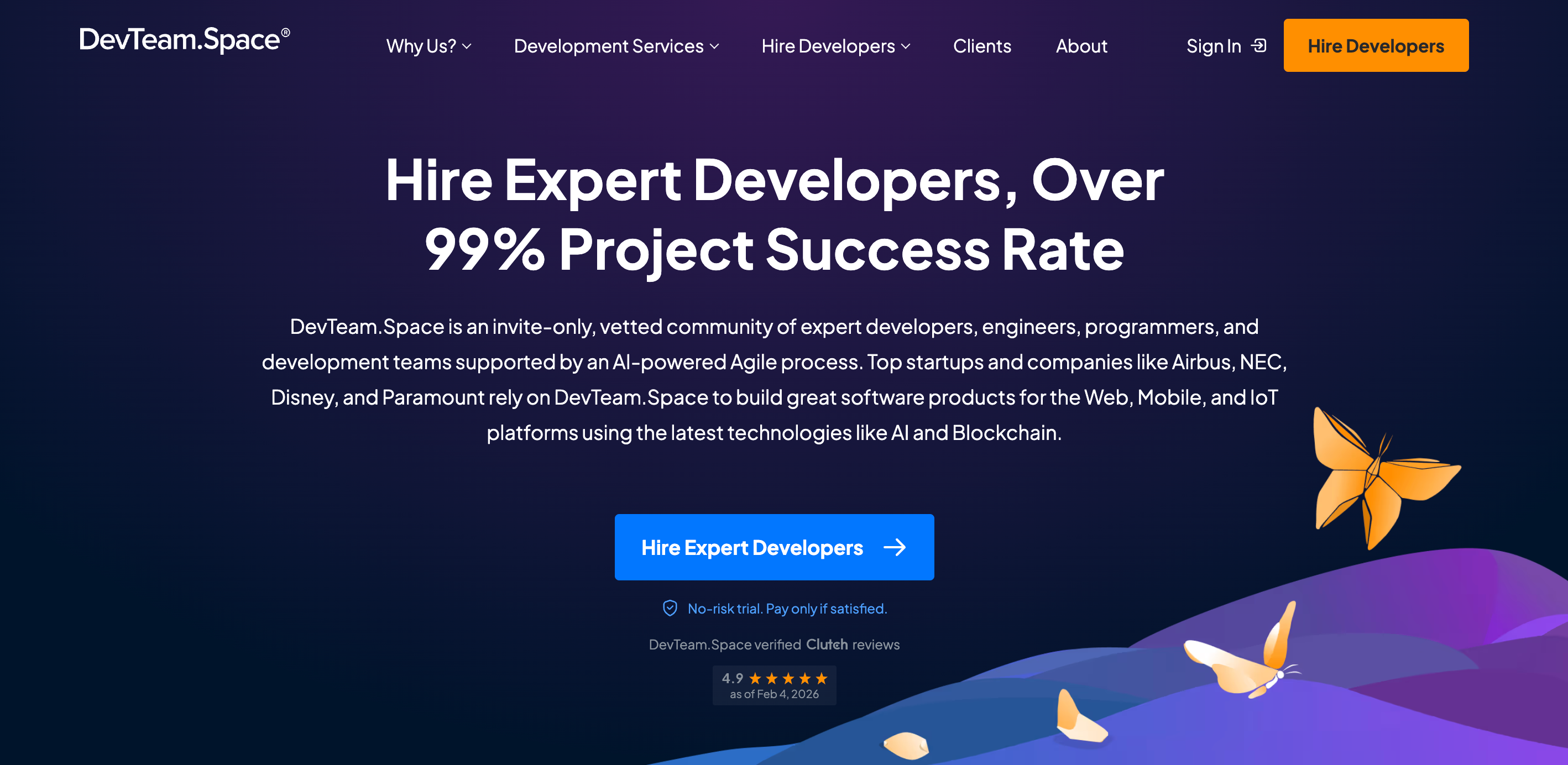 devteamspace homepage image